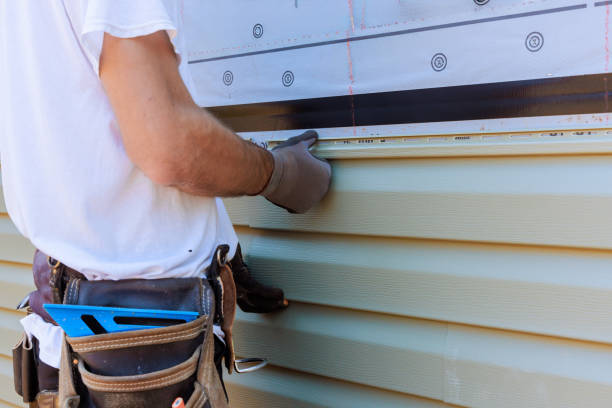 Best Vinyl Siding Installation  in Sutton Alpine, AK